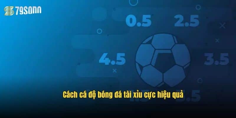 Luật Cá Độ Bóng Đá 79Sodo – Hiểu Rõ Để Cược Thắng Lớn 3 cach-ca-do-bong-da-tai-xiu-cuc-hieu-qua