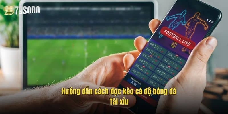 Cách Đọc Kèo Cá Độ Bóng Đá Chuẩn – Bí Kíp Thắng Lớn 2 huong-dan-cach-doc-keo-ca-do-bong-da-tai-xiu