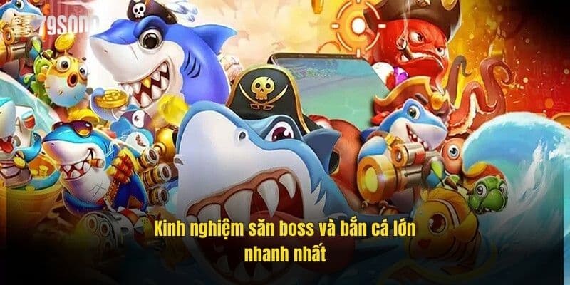 Bắn Cá Hack 79Sodo – Săn Xu Cực Dễ, Chơi Là Thắng 3 meo-su-dung-vu-khi-khi-choi-ban-ca-hack-hieu-qua