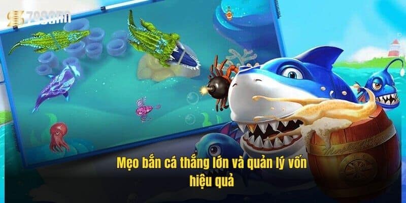 Cài Đặt Game Bắn Cá 79Sodo – Hướng Dẫn Chi Tiết Từ A-Z 4 meo-ban-ca-thang-lon-va-quan-ly-von-hieu-qua
