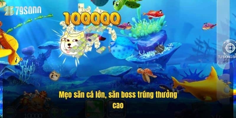Nỏ Bắn Cá 79Sodo – Săn Cá Cực Đỉnh, Rinh Thưởng Cực To 3 meo-san-ca-lon-san-boss-trung-thuong-cao (1)