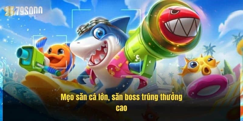 Bắn Cá Đổi Tiền MoMo 79Sodo – Săn Thưởng Cực Đã 3 meo-san-ca-lon-san-boss-trung-thuong-cao