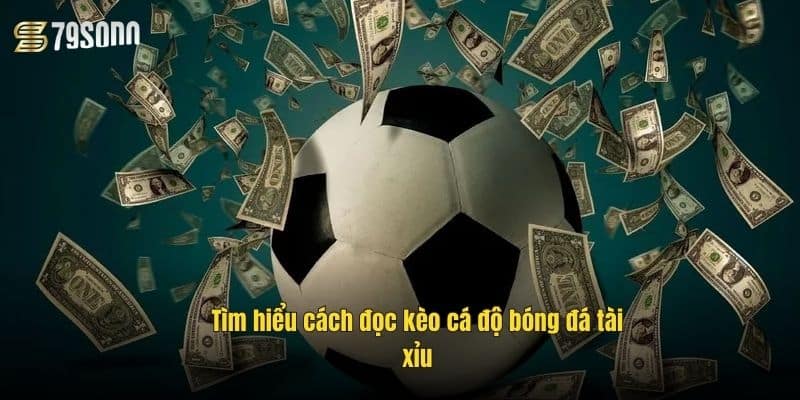 Cách Đọc Kèo Cá Độ Bóng Đá Chuẩn – Bí Kíp Thắng Lớn 4 tim-hieu-cach-doc-keo-ca-do-bong-da-tai-xiu